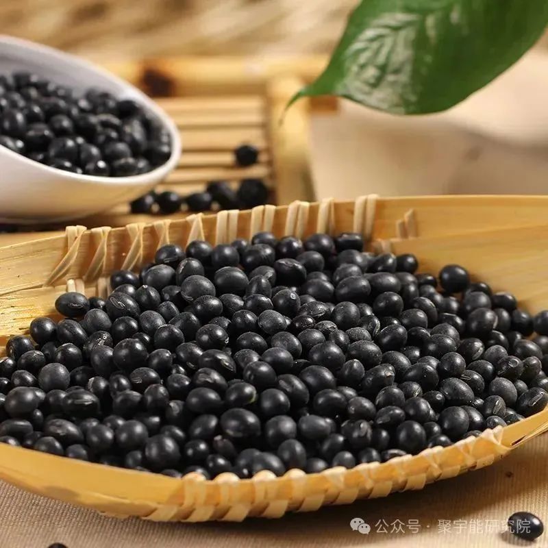 永不忘当年钱老劝导我们“用当代科学传承《黄帝内经》医理和建立《中药本草》科学药理标准”的教导·六十九(图8) 永不忘当年钱老劝导我们“用当代科学传承《黄帝内经》医理和建立《中药本草》科学药理标准”的教导·六十九(图8)