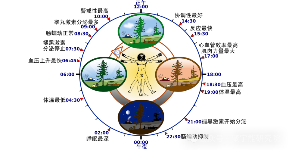 金日光教授:(七十二)永不忘当年钱老劝导我们“用当代科学传承《黄帝内经》医理和建立《中药本草》科学药理标准”的教导(图9) 金日光教授:(七十二)永不忘当年钱老劝导我们“用当代科学传承《黄帝内经》医理和建立《中药本草》科学药理标准”的教导(图9)