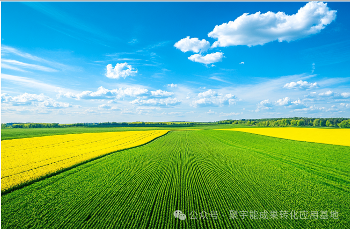 你敢信吗?曾经的 “死亡地带” 也能变良田!(图4) 你敢信吗?曾经的 “死亡地带” 也能变良田!(图4)