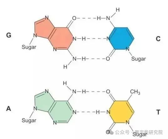 金日光教授:(七十五)永不忘当年钱老劝导我们“用当代科学传承《黄帝内经》医理和建立《中药本草》科学药理标准”的教导(图7) 金日光教授:(七十五)永不忘当年钱老劝导我们“用当代科学传承《黄帝内经》医理和建立《中药本草》科学药理标准”的教导(图7)