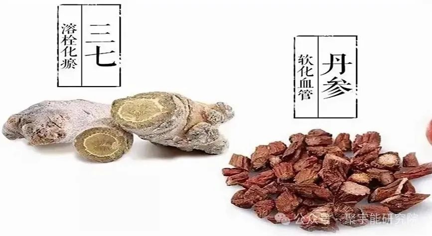 金日光教授:(七十六)永不忘当年钱老劝导我们“用当代科学传承《黄帝内经》医理和建立《中药本草》科学药理标准”的教导(图5) 金日光教授:(七十六)永不忘当年钱老劝导我们“用当代科学传承《黄帝内经》医理和建立《中药本草》科学药理标准”的教导(图5)