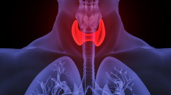 我和动力液的故事 | 小心颈部“炸弹”—甲状腺结节(图1) 微信图片_20250804135755.png