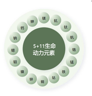 聚宇能生态动力液与人类全血阴阳精及精气分布高度相似的深层机制解析(图5) 5a.png