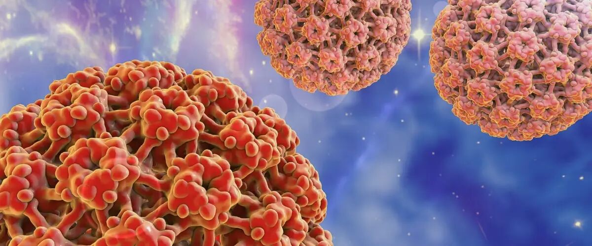 新篇|金日光教授:(二)如何看待当前的医理和药理?(图3) 1a.jpg