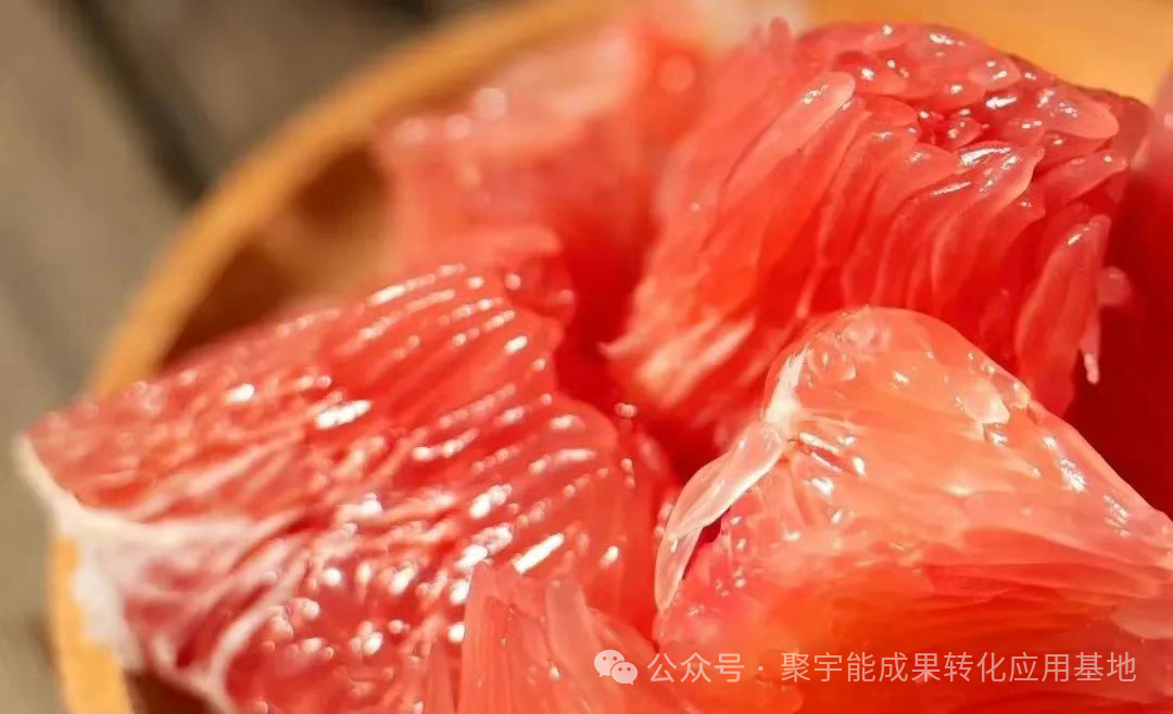 聚宇能黑金动力素助力漳州柚子种植(图4) 聚宇能黑金动力素助力漳州柚子种植(图4)