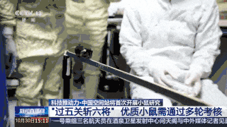 首次上天!4只小鼠已选定→(图3) 640.gif