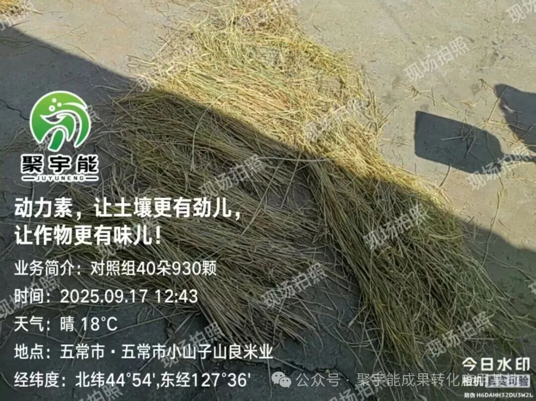 聚宇能动力素赋能五常稻花香(图2) 聚宇能动力素赋能五常稻花香(图2)