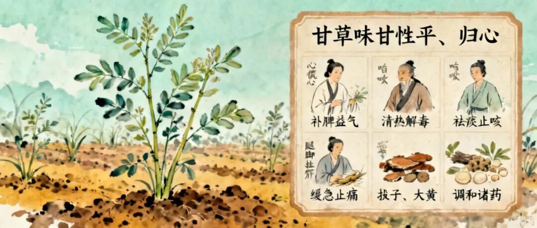 (图2) 2.jpg