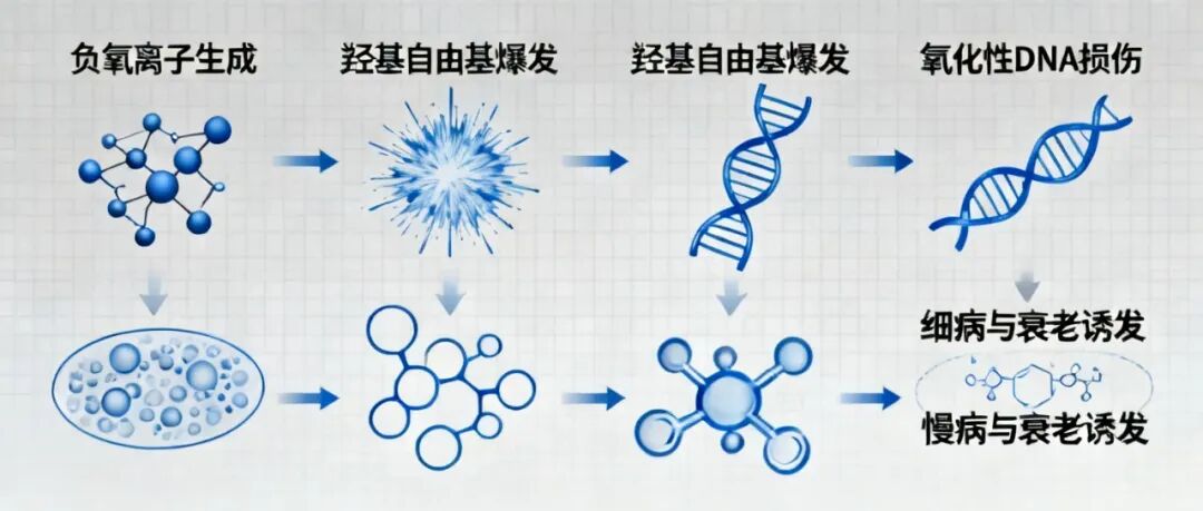 (图1)