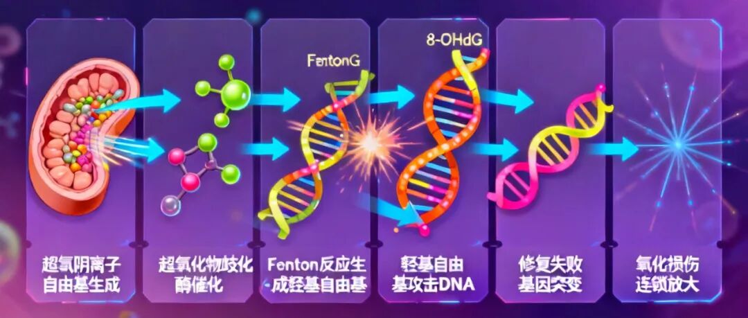 (图6)