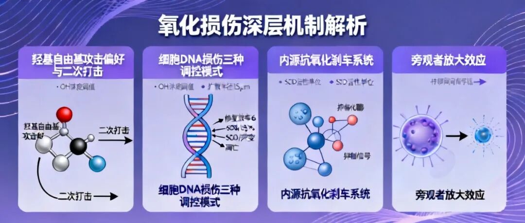 (图7)