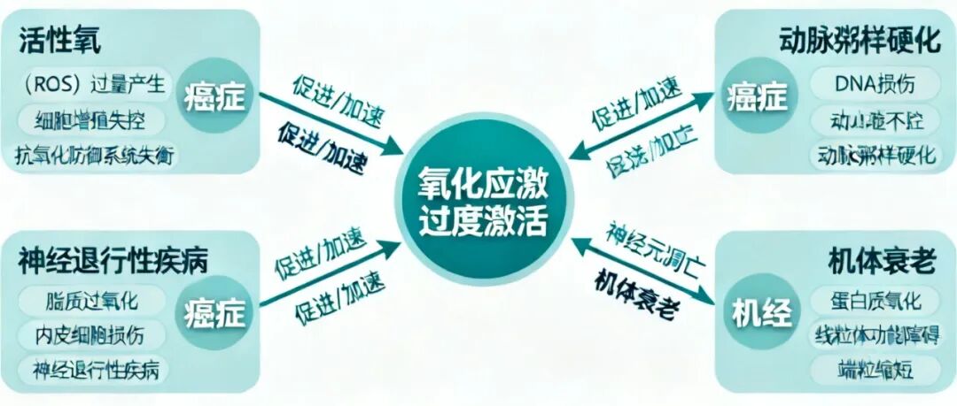 (图8)