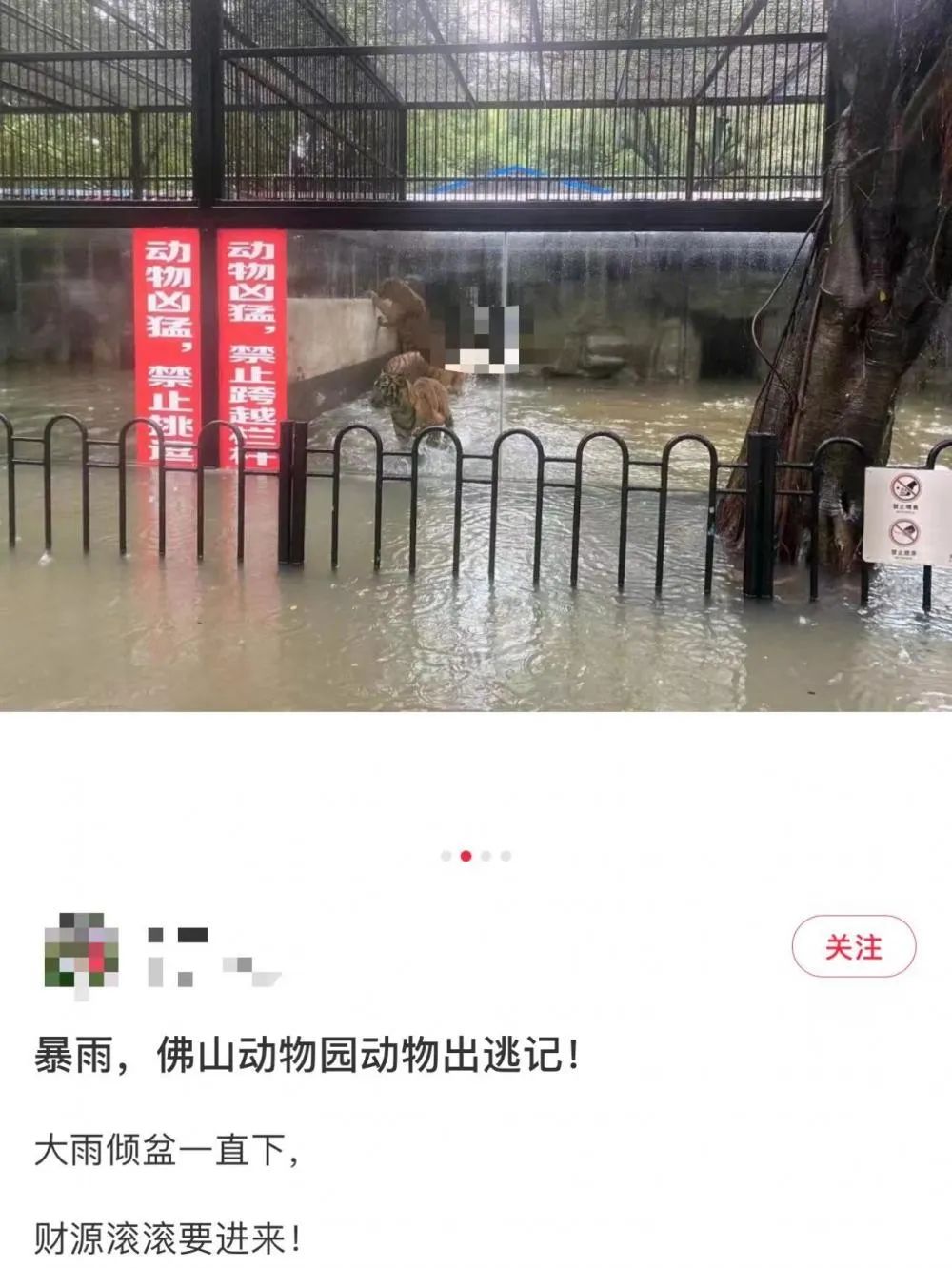 暴雨致佛山动物园“动物出逃”?园方回应上游新闻 (图2) 7.jpg